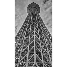 Large